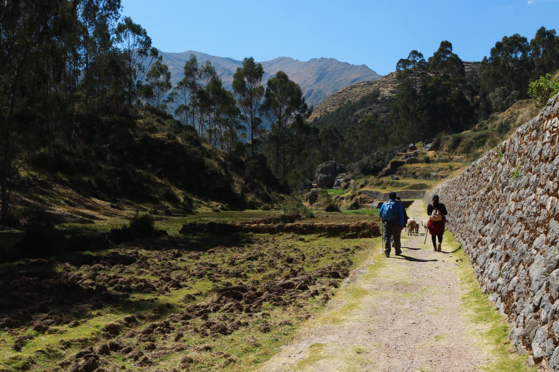 El Ministerio de Cultura declaró la protección provisional en dos tramos del Camino Inca ubicado en la provincia de Cusco. ANDINA/Archivo