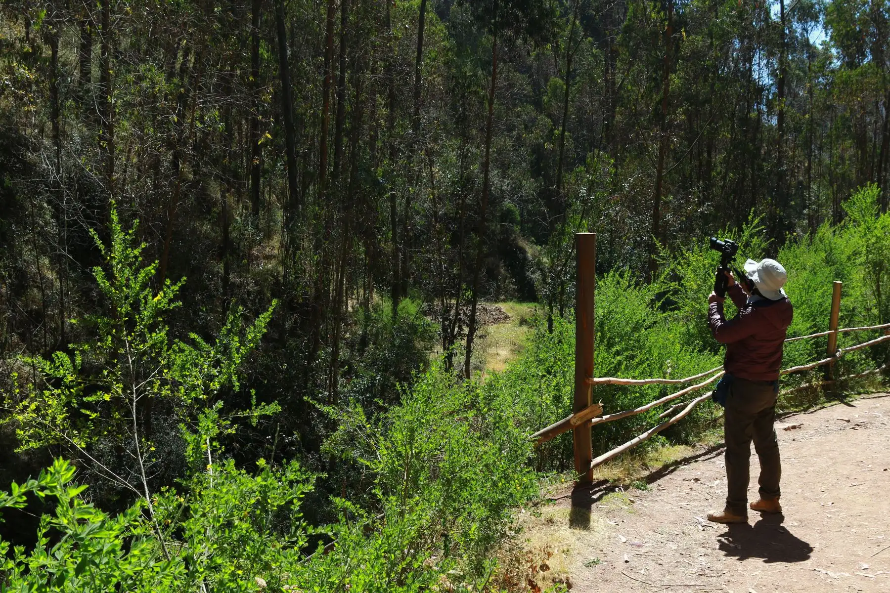 El Qhapaq Ñan que une Chinchero con Urquillos es una caminata moderada en descenso hacia el Valle Sagrado, donde se puede apreciar la flora, fauna y los apus sagrados o montañas que se muestran como protectores de dicho lugar, en una zona que es apropiada para la observación de aves. Foto: ANDINA/ Luis Iparraguirre