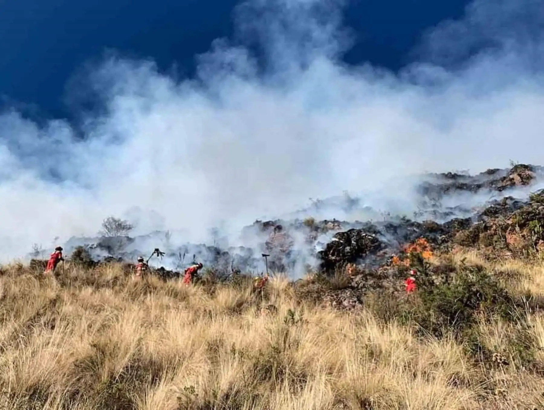 Bomberos controlan incendio forestal que arrasó con más de 10 hectáreas de pastizales en la provincia de Quispicanchi, en Cusco. Foto: Cortesía: Bomberos de Cusco