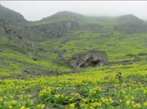 Conoce el potencial ecológico y turístico de las Lomas de Quebrada Río Seco, la nueva área de conservación privada ubicada en el distrito de Pachacámac, al sur de Lima. ANDINA/Difusión