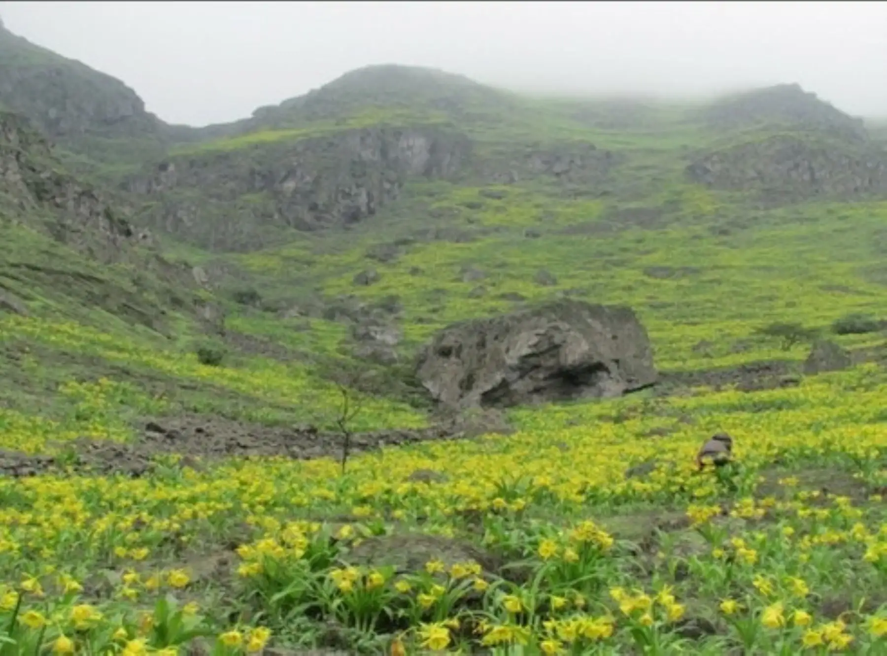 Conoce el potencial ecológico y turístico de las Lomas de Quebrada Río Seco, la nueva área de conservación privada ubicada en el distrito de Pachacámac, al sur de Lima. ANDINA/Difusión