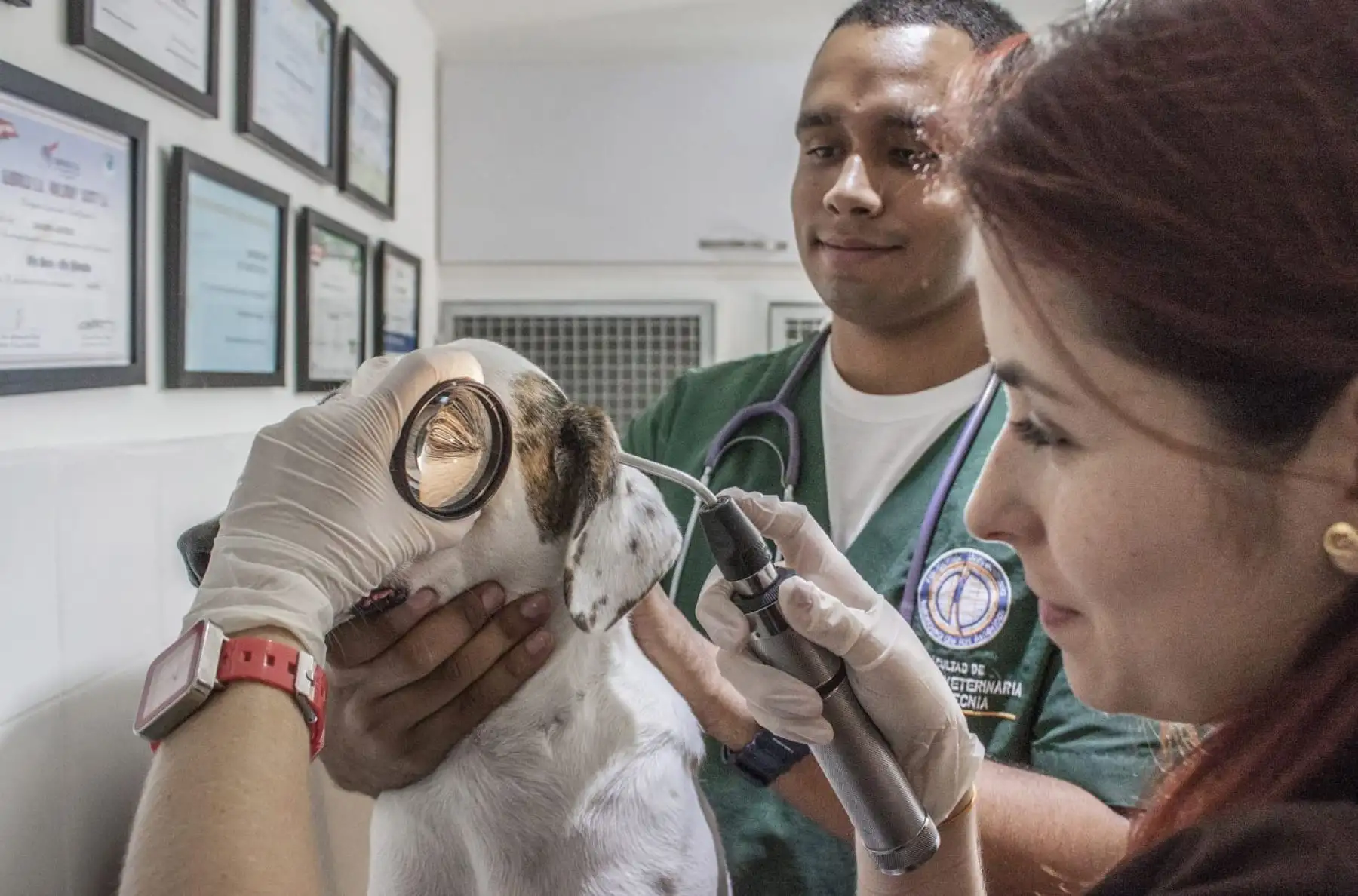 Los proyectos deberán estar orientados a encontrar soluciones innovadoras para los principales y actuales problemas de salud.. Foto: Concytec