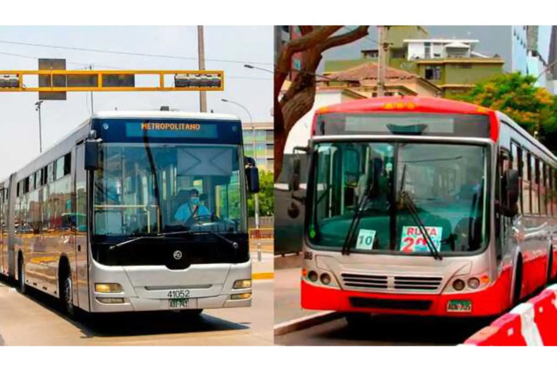 Unidades del Metropolitano y corredor complementario. ANDINA/Difusión
