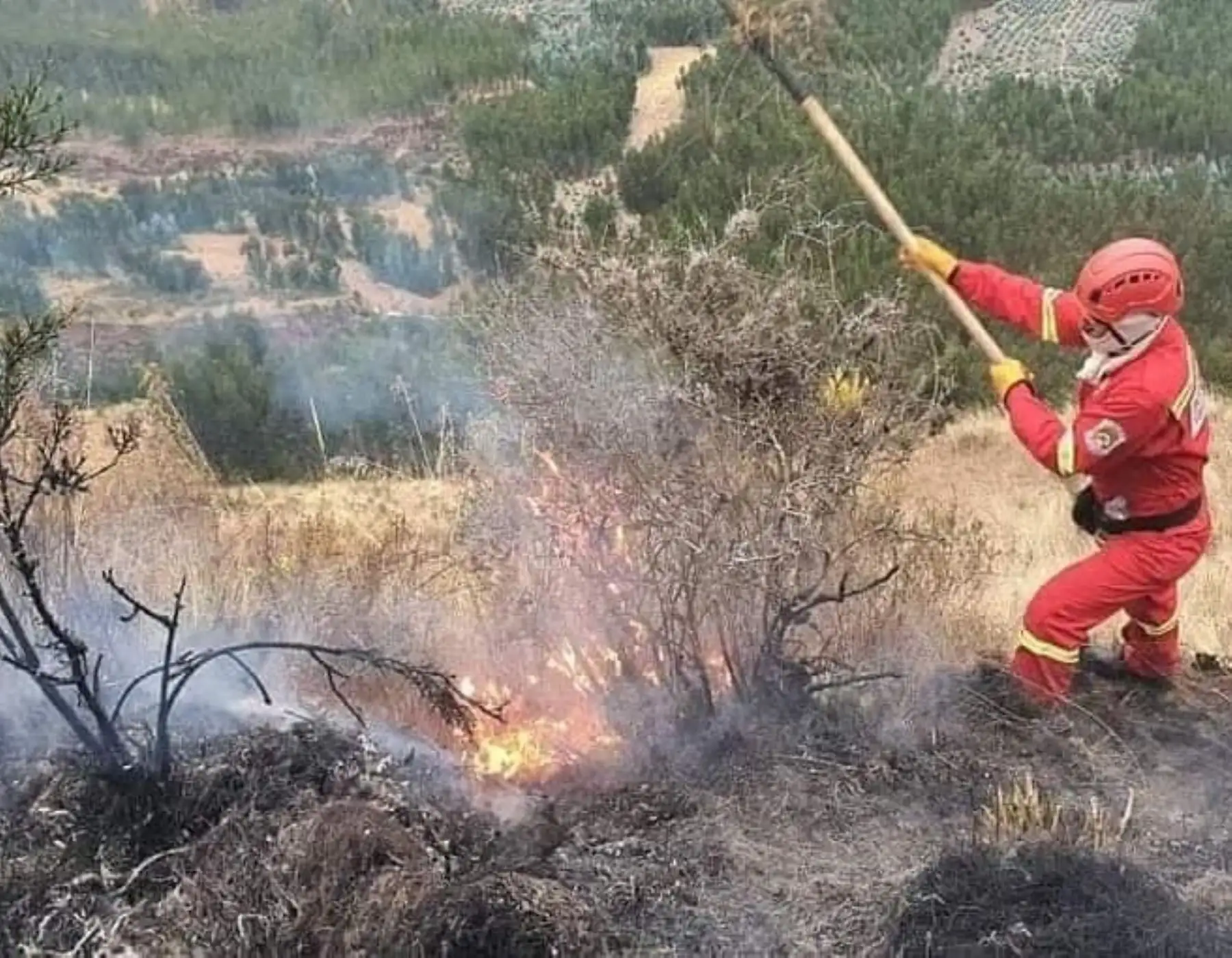 Cusco en alerta por incendios forestales, solo en la última semana se han reportado 12 siniestros en diversas provincias, Foto: Bomberos de Cusco