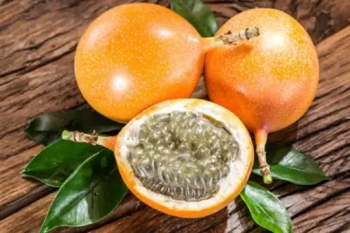 El consumo de granadilla favorece el tratamiento del insomnio y de la ansiedad, problemas de salud acentuados en esta pandemia por el covid-19, dado que contiene flavonoides que sumados a las vitaminas del complejo B (B1, B2, B3 y B9) favorecen el buen funcionamiento del sistema nervioso.
