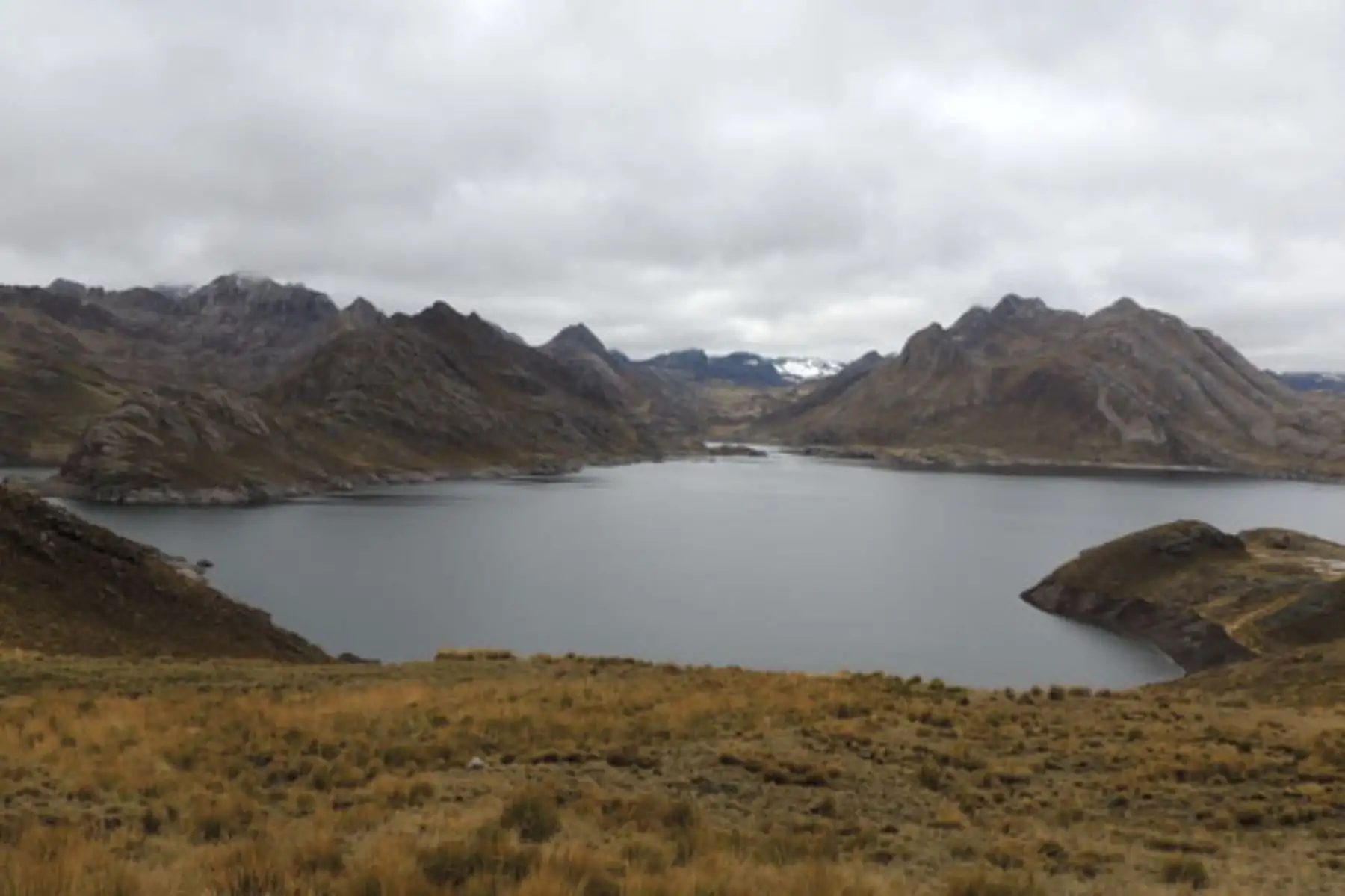 Figuran bosques altimontanos de yunga, humedales andinos, pajonal de puna húmeda y bosques montanos. Foto: ANDINA/Difusión