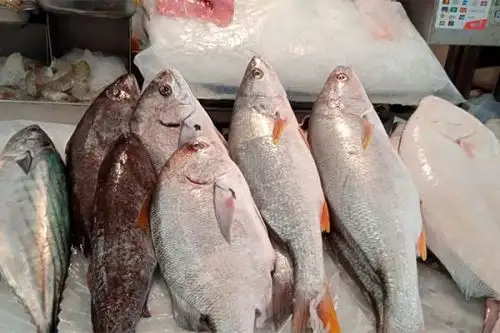 El pescado tiene proteínas, ácidos grasos esenciales omega 3, Vitamina A, Complejo B y minerales como el hierro, fósforo, zinc, selenio, yodo y potasio. Foto: ANDINA/ Colegio de Nutricionistas