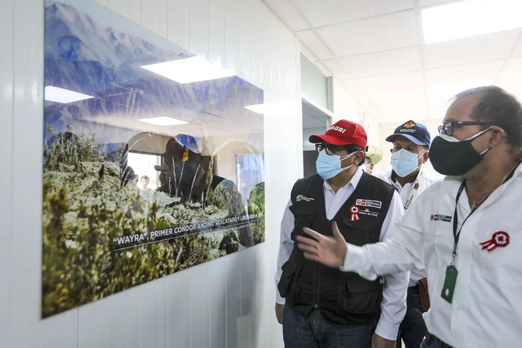 El puesto de control permitirá al Serfor ejercer una estricta fiscalización de las principales vías de acceso a la región Arequipa. Foto: ANDINA/Difusión