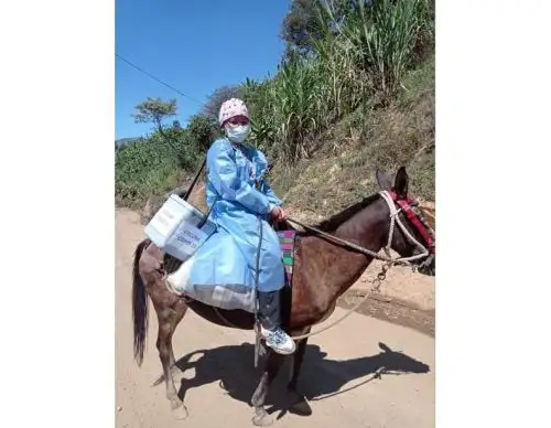 Brigadas de salud viajan largas horas para aplicar las vacunas contra la covid-19 en la sierra de Piura y hasta se trasladan en burro. Foto: ANDINA/Difusión.