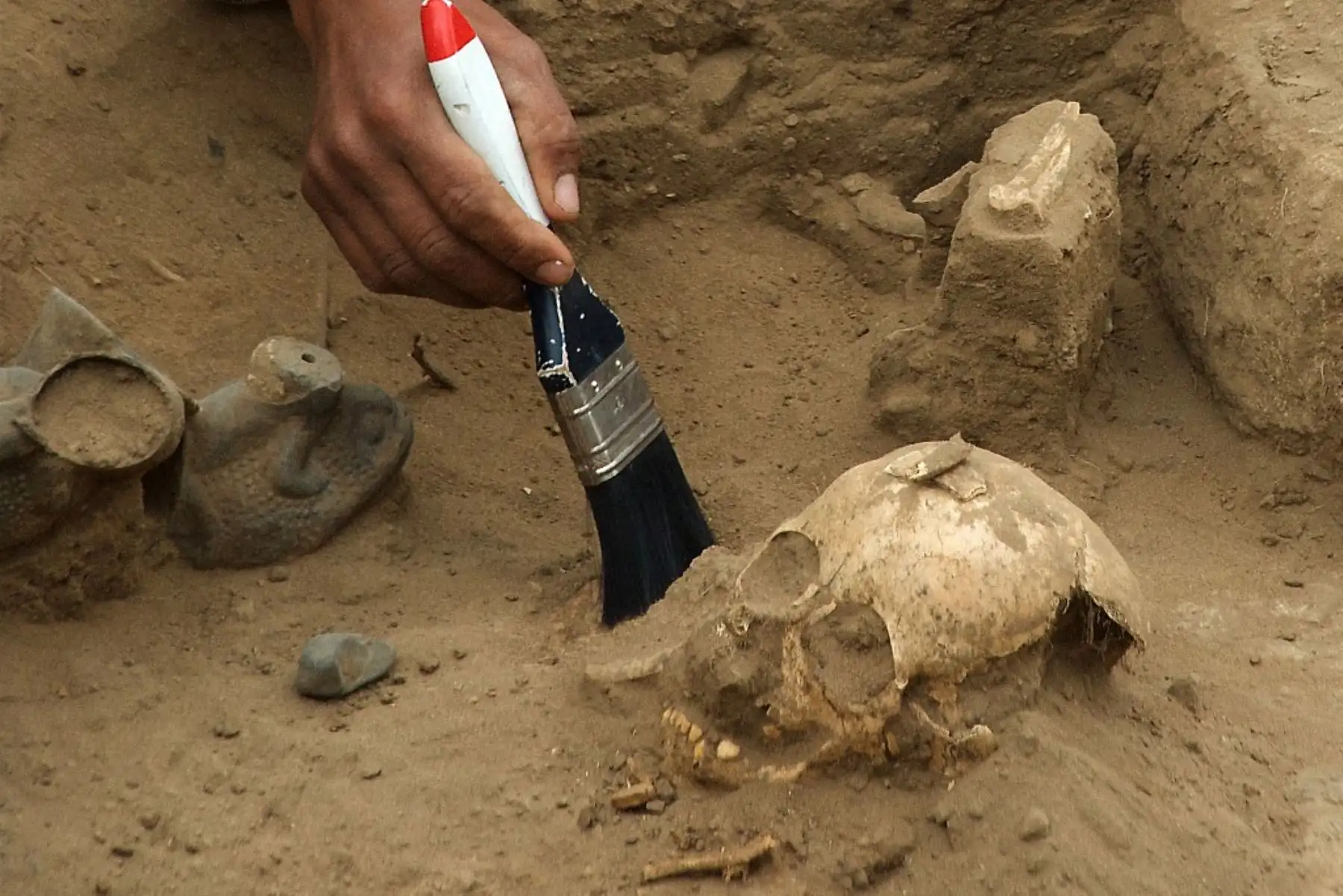 Investigadores trabajan en el complejo arqueológico Bosque de Pomac en Lambayeque, 750 km al norte de Lima. Tumbas de 1.200 años pertenecientes a la cultura pre Inca Sipán fueron encontradas en el lugar.

Foto: AFP