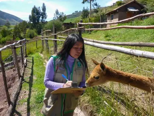 Osinfor implementó el programa SMART, una herramienta de monitoreo espacial que fortalecerá la supervisión en los centros de cría de fauna silvestre. ANDINA/Difusión