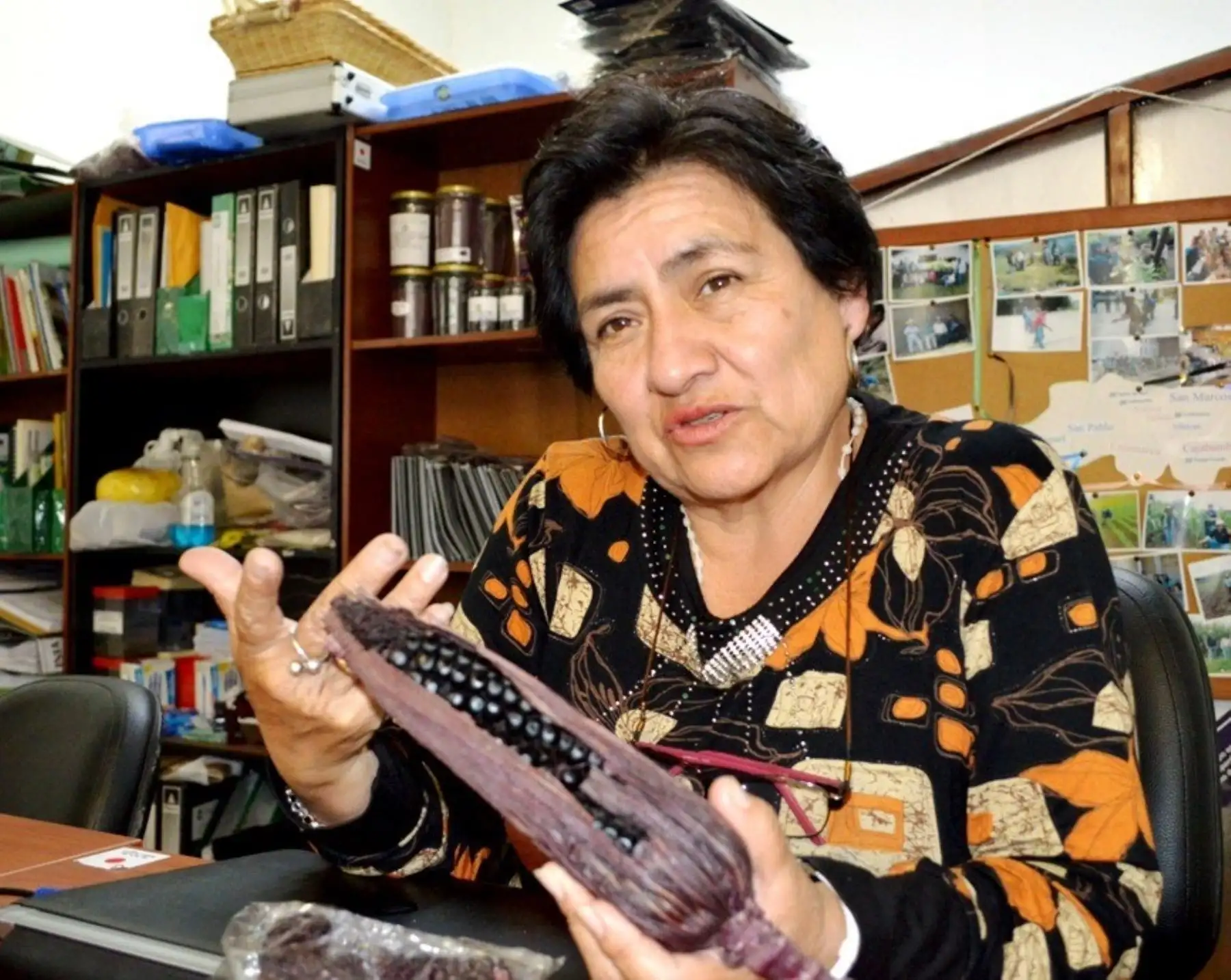 La investigadora cajamarquina Alicia Medina, descubridora del supermaíz morado que destaca por sus propiedades nutricionales que ayudan a combatir el cáncer, recibirá un reconocimiento del Colegio de Ingenieros del Perú. Foto: Eduard Lozano.