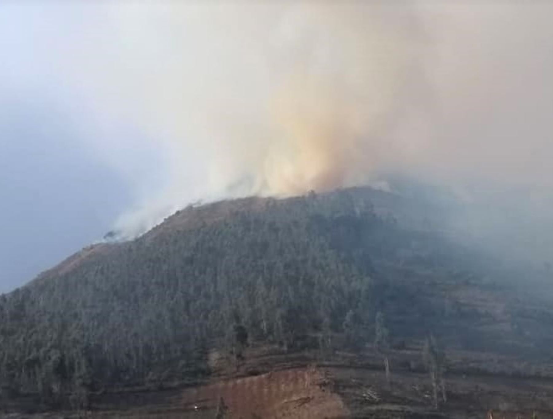 Bomberos de Cusco controlan incendio forestal registrado cerca de la zona de amortiguamiento de Machu Picchu, en el distrito de Ollantaytambo. Foto: Archivo