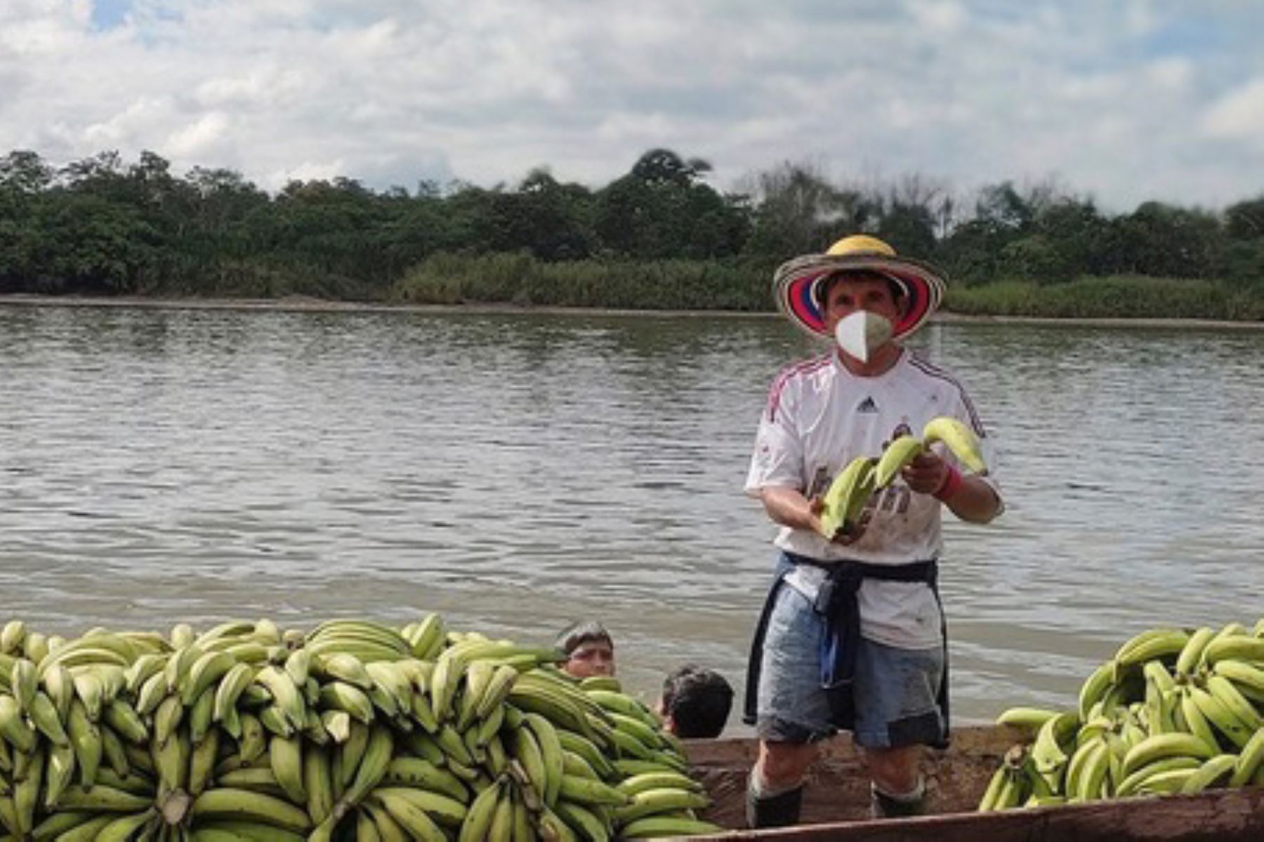 Devida promueve la articulación de productos como el cacao o el café en la provincia de Padre Abad, región Ucayali. Foto: ANDINA/Devida