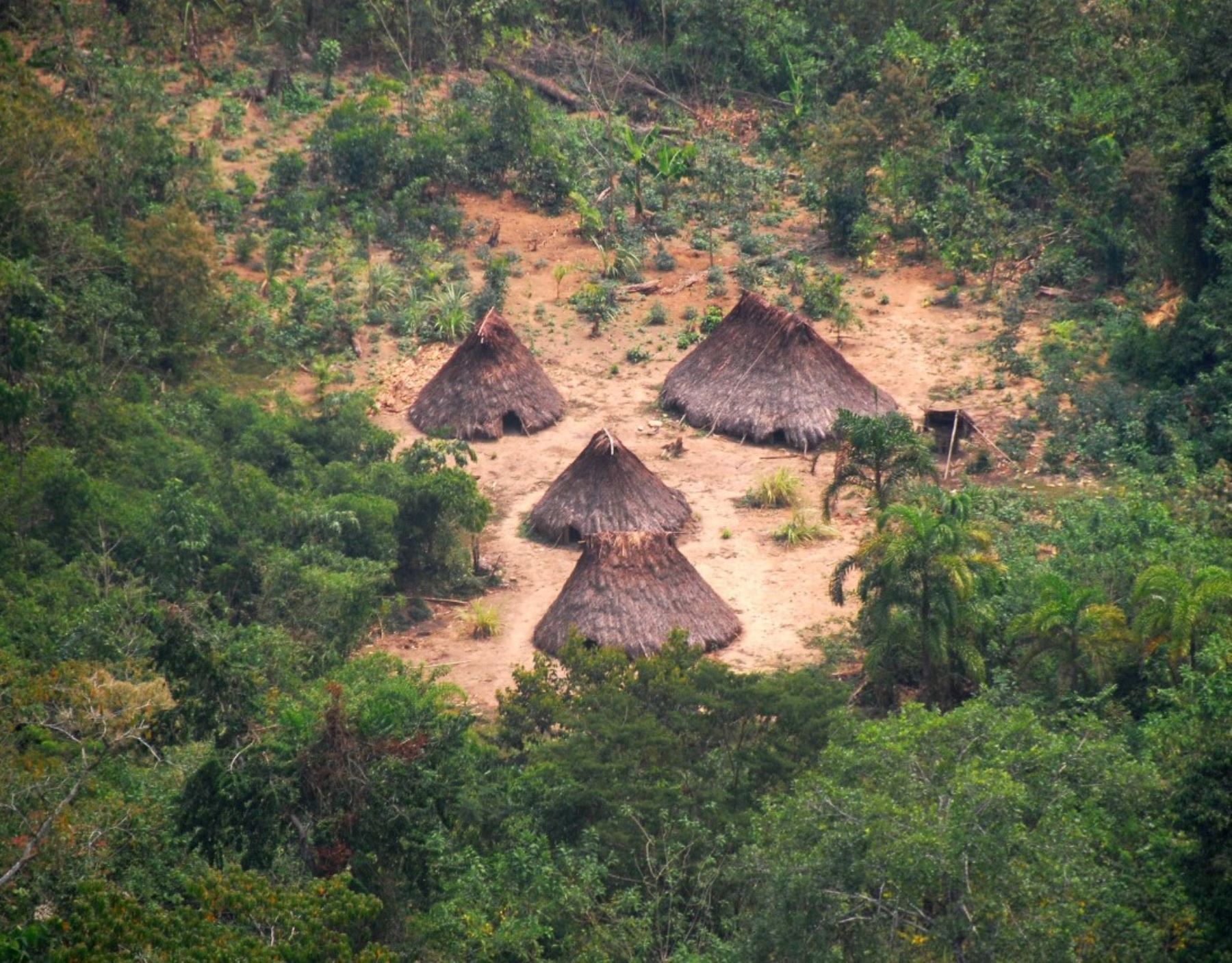 Perú crea reserva indígena Kakataibo Norte y Sur para proteger a pueblo en situación de aislamiento.