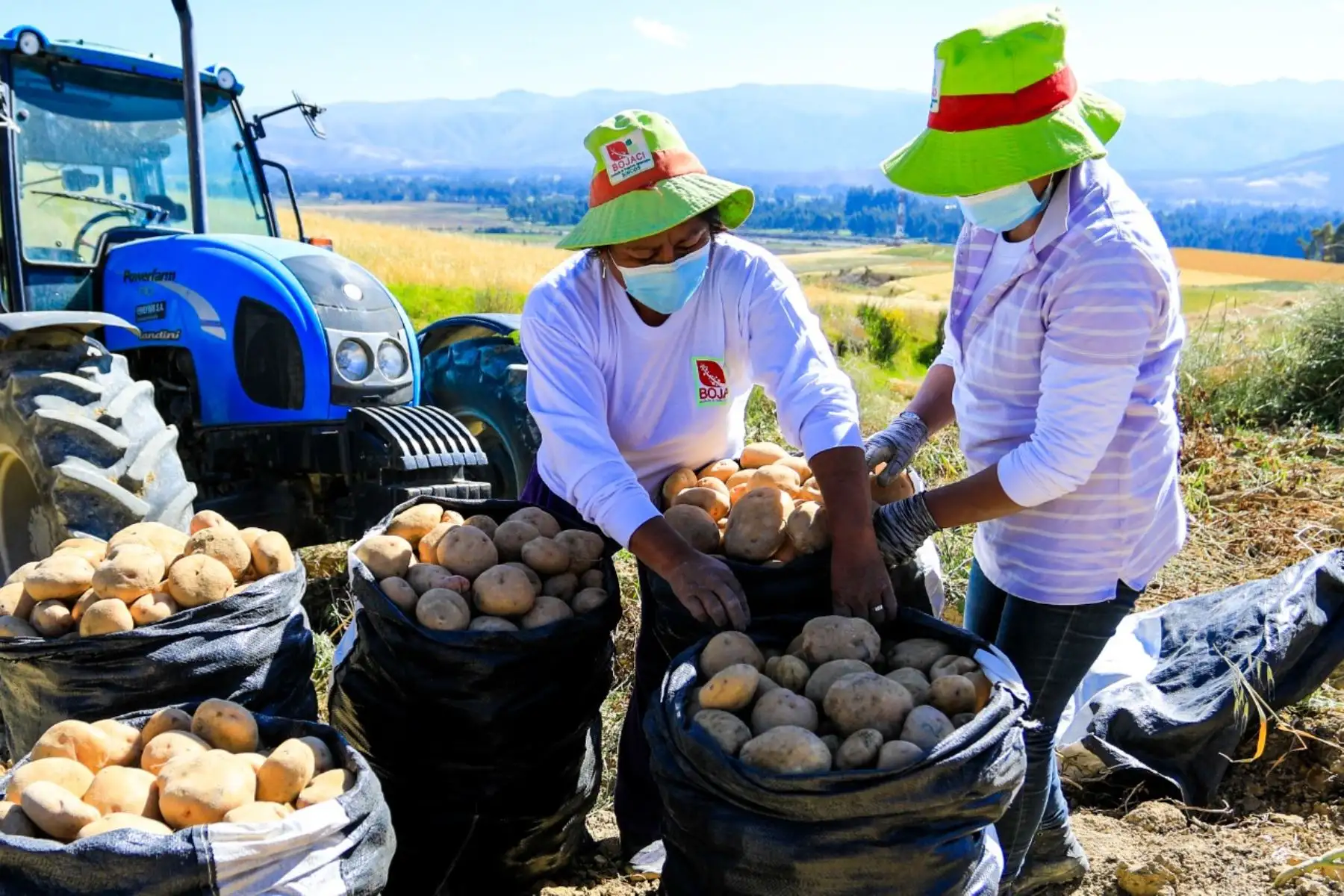 Agricultores. Foto: ANDINA/Difusión