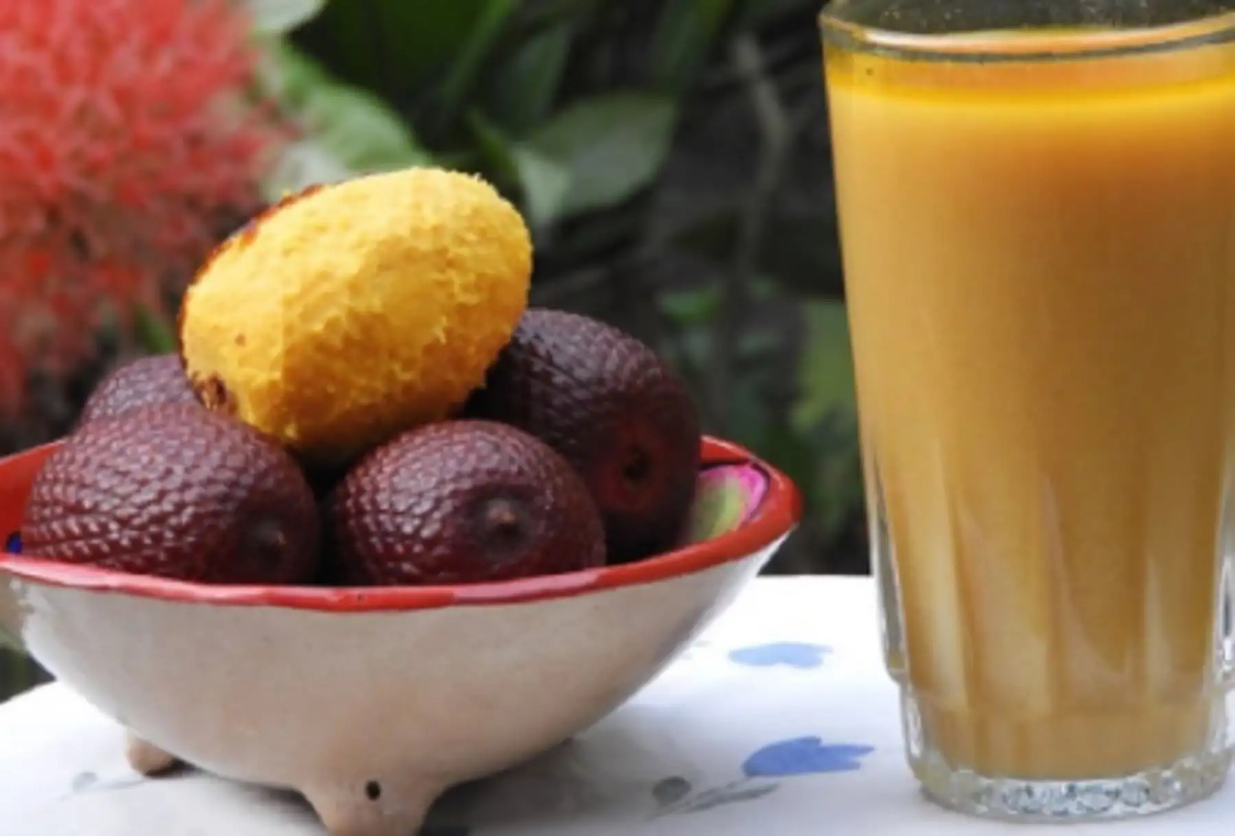 El aguaje contiene una elevada concentración de vitamina C, la misma que ayuda en la absorción de hierro y calcio, por lo que contribuye a fortalecer los huesos y músculos, previniendo la osteoporosis y otras dolencias relacionadas. Foto: ANDINA/Difusión.