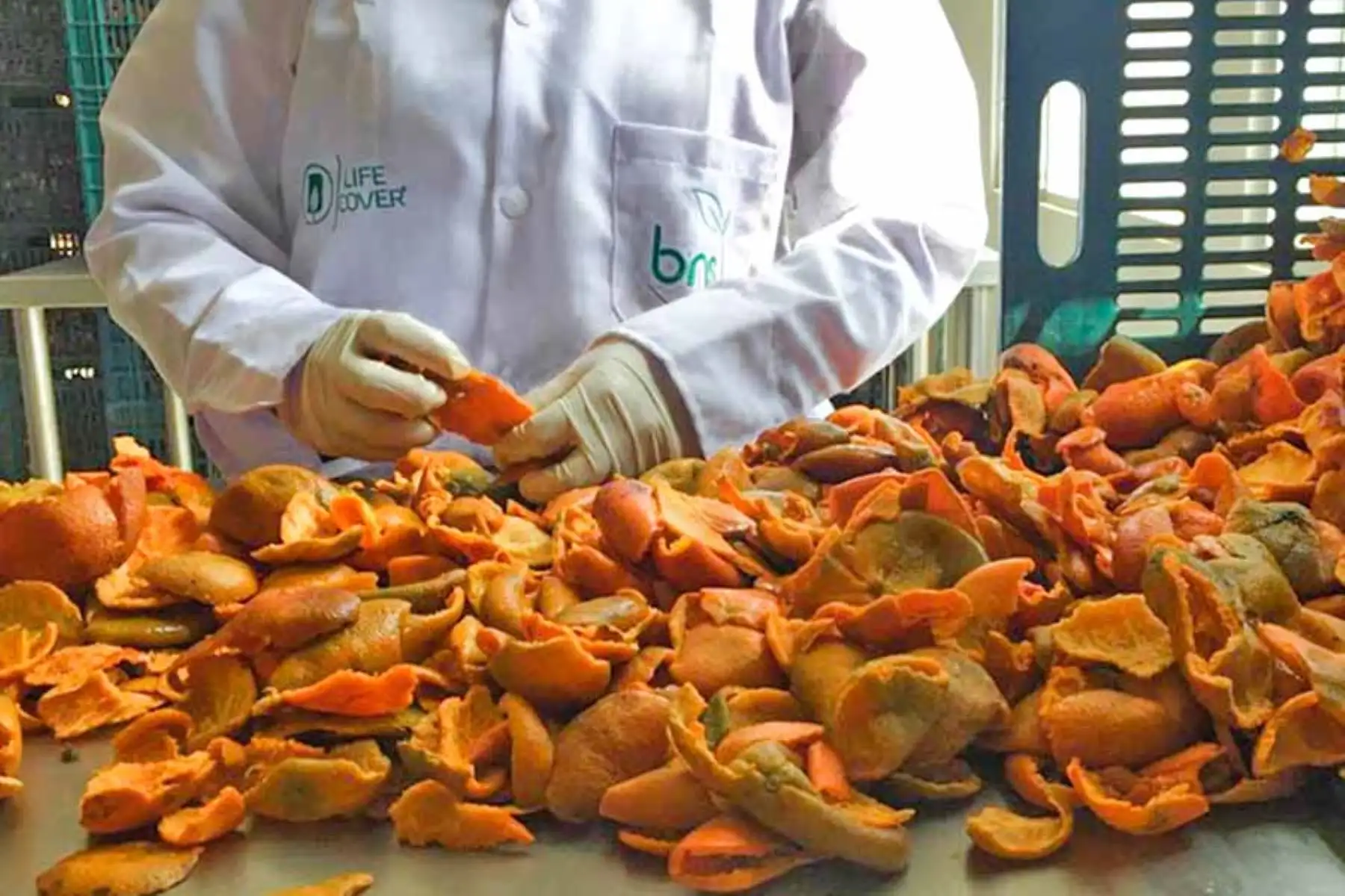 Actualmente, las frutas que más emplean para el desarrollo de los conservantes y desinfectantes son: mandarina, palta, naranja y mango.