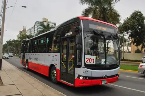 El "vacunabús" tiene capacidad para que viajen hasta 40 usuarios sentados y tendrá tres horarios de salida: 7 a. m., 9 a. m. y 11 a. m. Por aforo, las personas deberán acudir sin acompañante y no tendrán necesidad de bajar del bús para vacunarse. ANDINA/ ATU