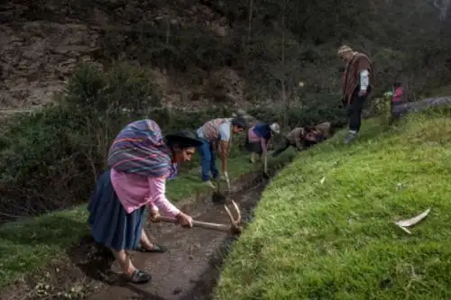 Agricultura familiar