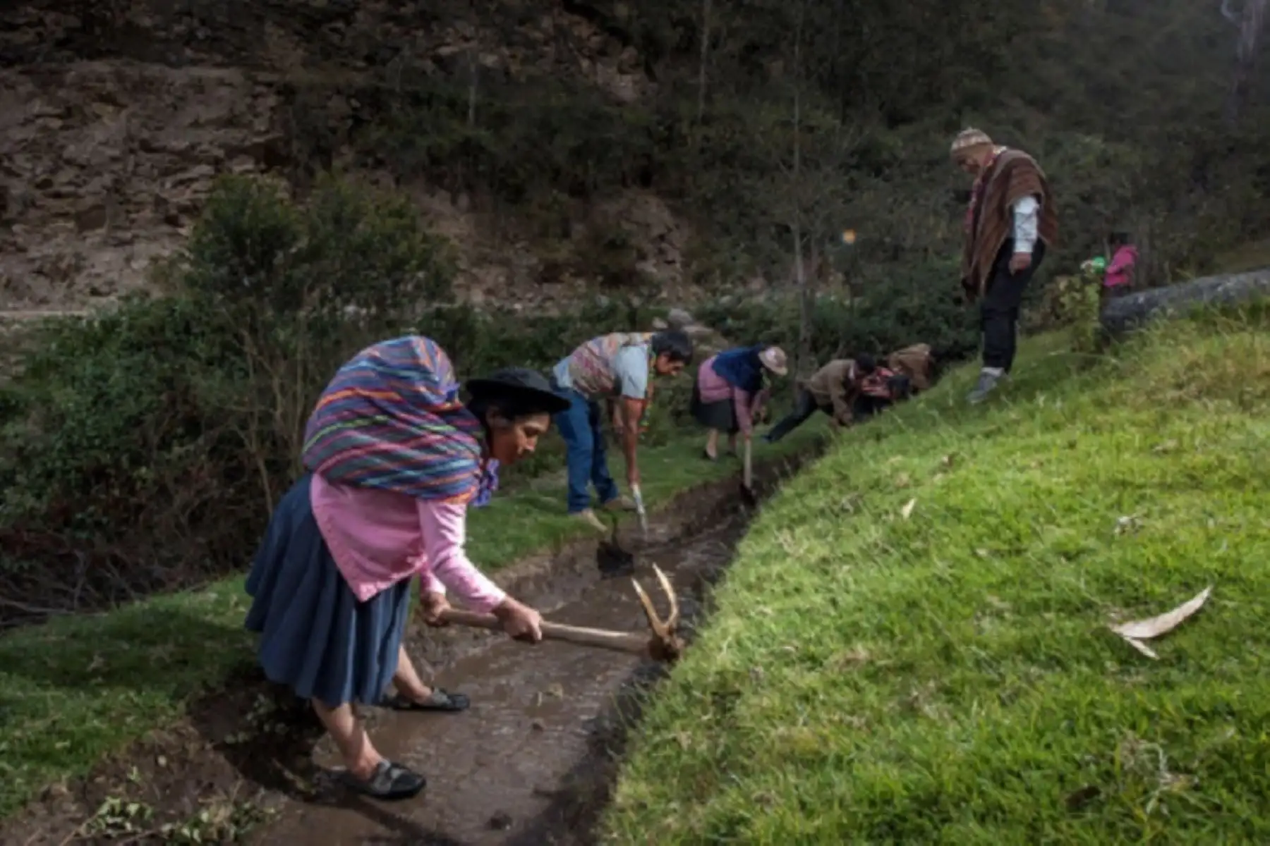 Agricultura familiar