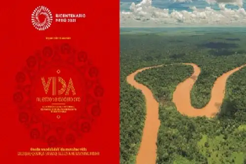 La minería ilegal e informal en Madre de Dios no solo deteriora el territorio y los recursos naturales, también afecta directamente la salud y el desarrollo de las comunidades amazónicas, ocasiona violencia e injustica ambiental.