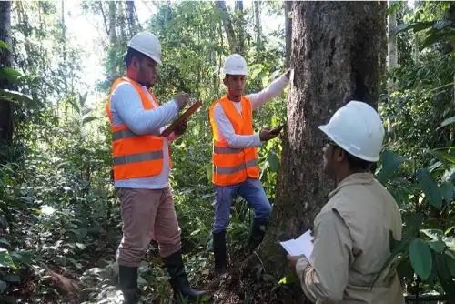 Partida presupuestal podrá ser utilizada para actividades orientadas a fortalecer la competitividad y el aprovechamiento sostenible de los recursos forestales y fauna silvestre.