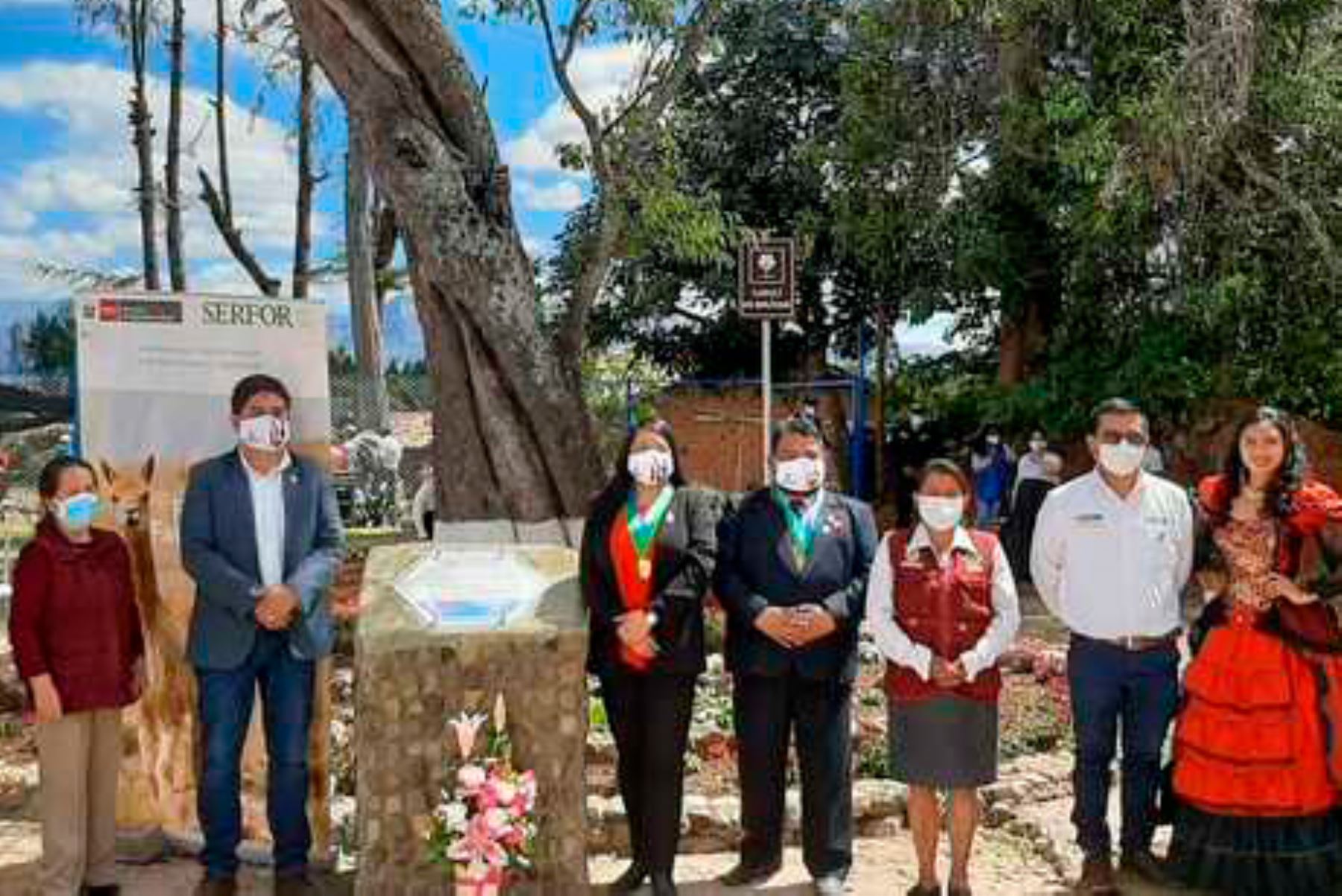 Representantes del Serfor y el municipio de Cajabamba participaron en el reconocimiento al Capulí de Bolívar. Foto: ANDINA/Serfor