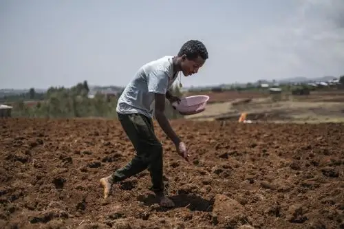 Los autores reclaman acciones rápidas y radicales en varios sectores, como la eliminación de energías fósiles, la restauración de los ecosistemas, los regímenes alimentarios vegetarianos y la búsqueda de un nuevo modelo de crecimiento. Foto: AFP