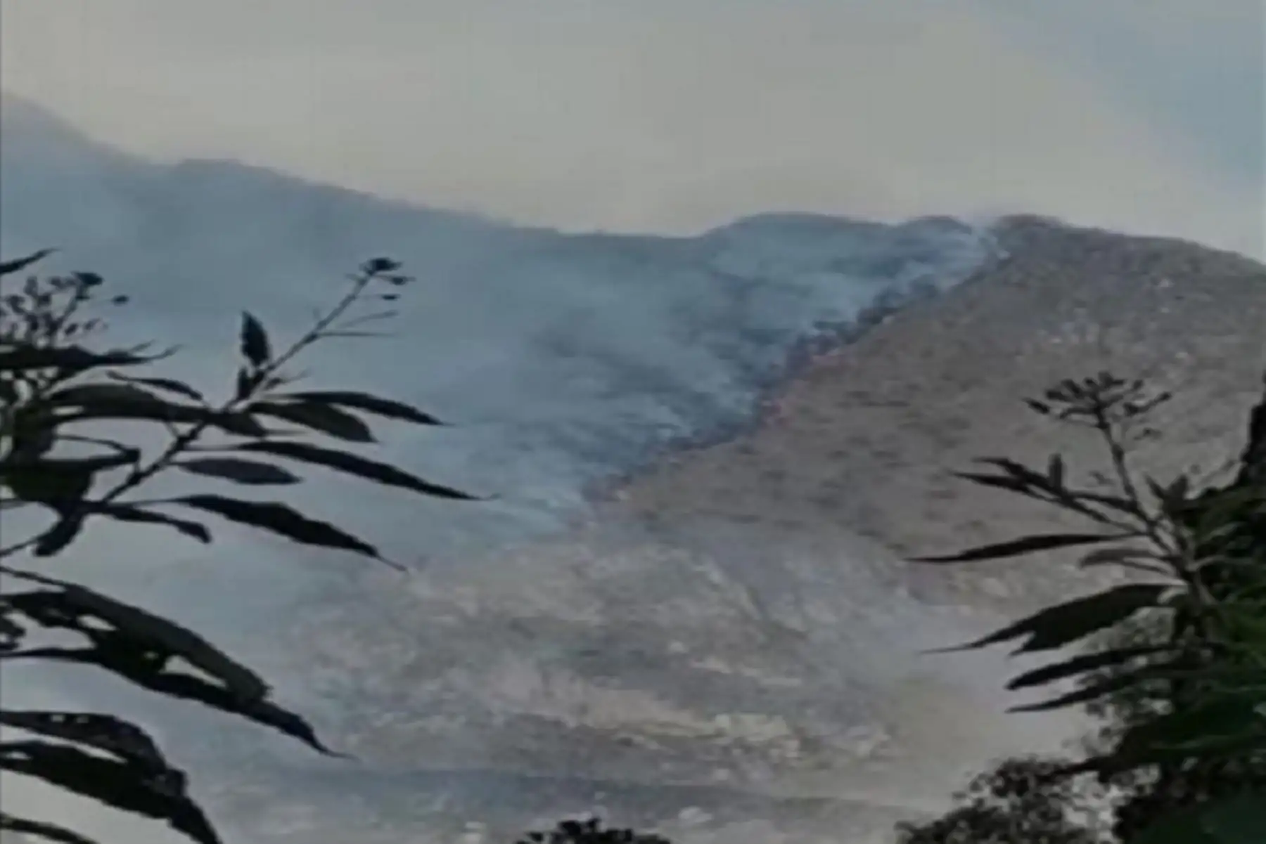 Incendio forestal en distrito de Machu Picchu destruyó 18 hectáreas de cobertura natural