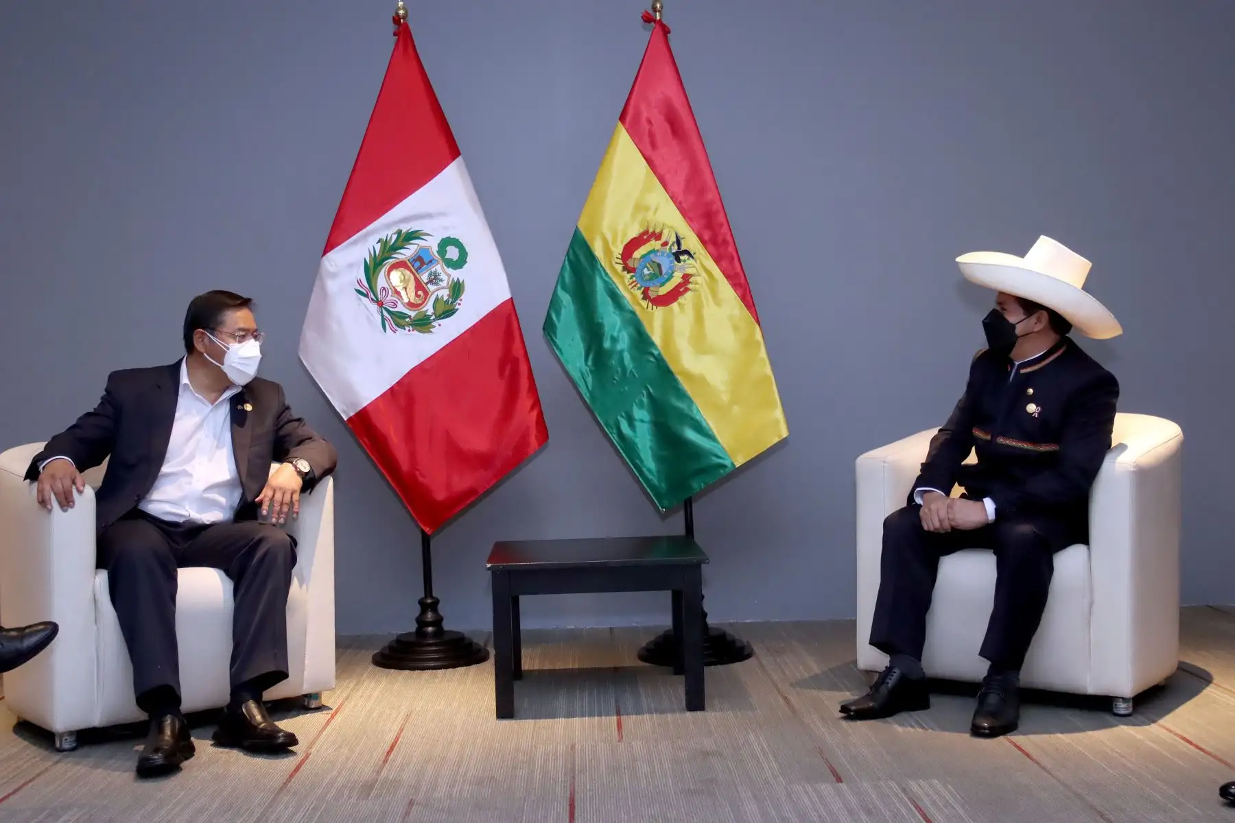 Foto: ANDINA/Prensa Presidencia.