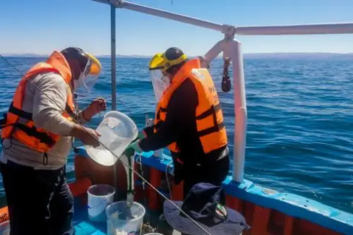 En 14 estaciones ubicadas en la bahía de Puno y el lago Mayor del Titicaca se hicieron los estudios. Foto: ANDINA/Difusión