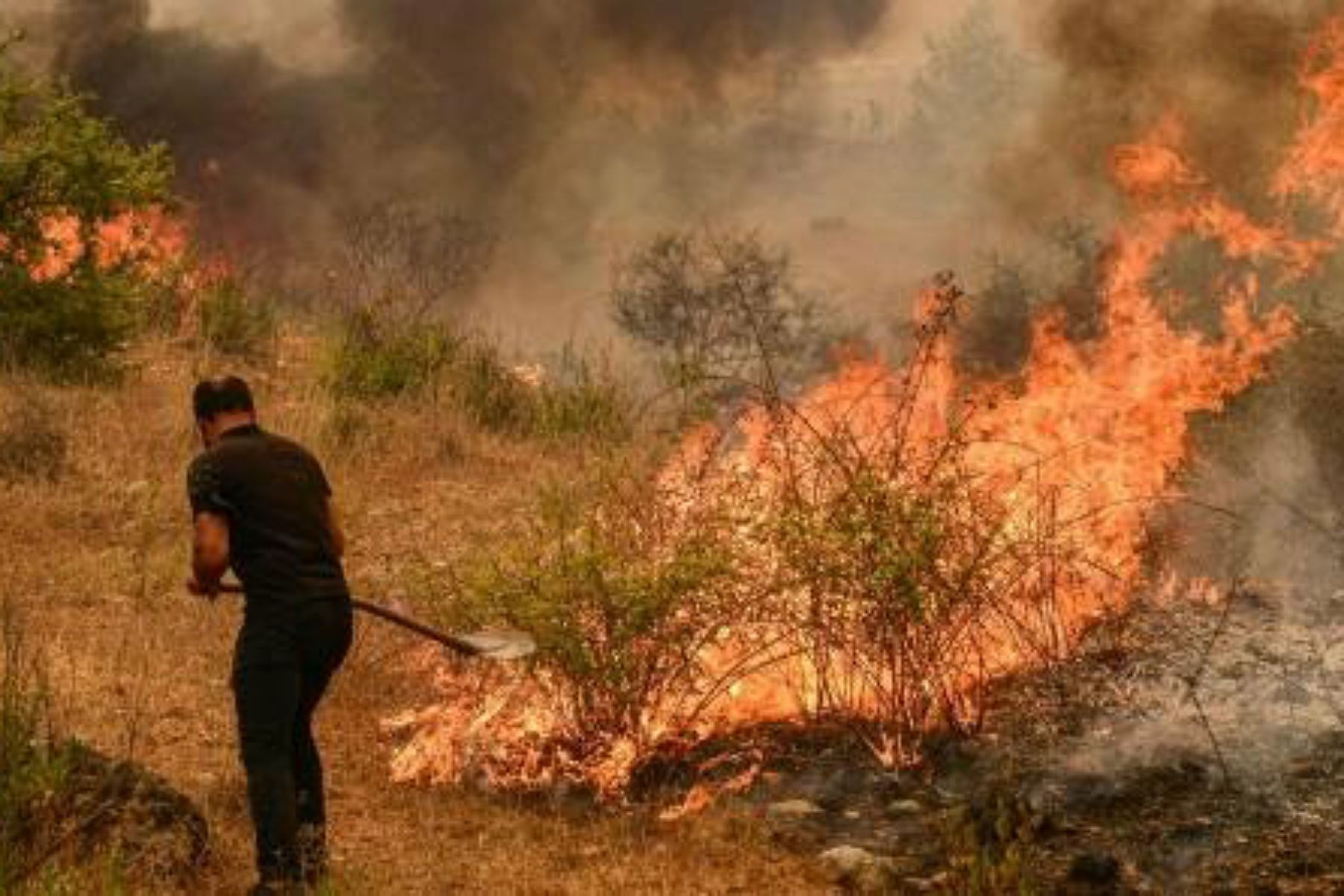 Incendios forestales en Turquía. Foto: AFP