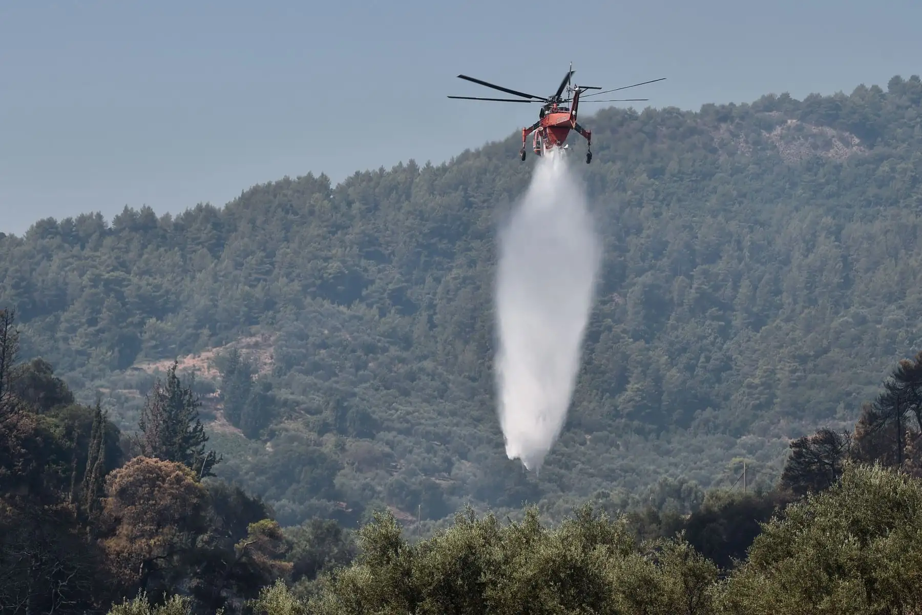 Un helicóptero Sikorsky S-64 Skycrane deja caer su carga de agua mientras lucha contra incendios en Ziria, cerca de Patras.
Cerca de 300 bomberos, dos aviones bombarderos de agua y cinco helicópteros estaban luchando para apagar un incendio forestal en Grecia.
Foto: AFP