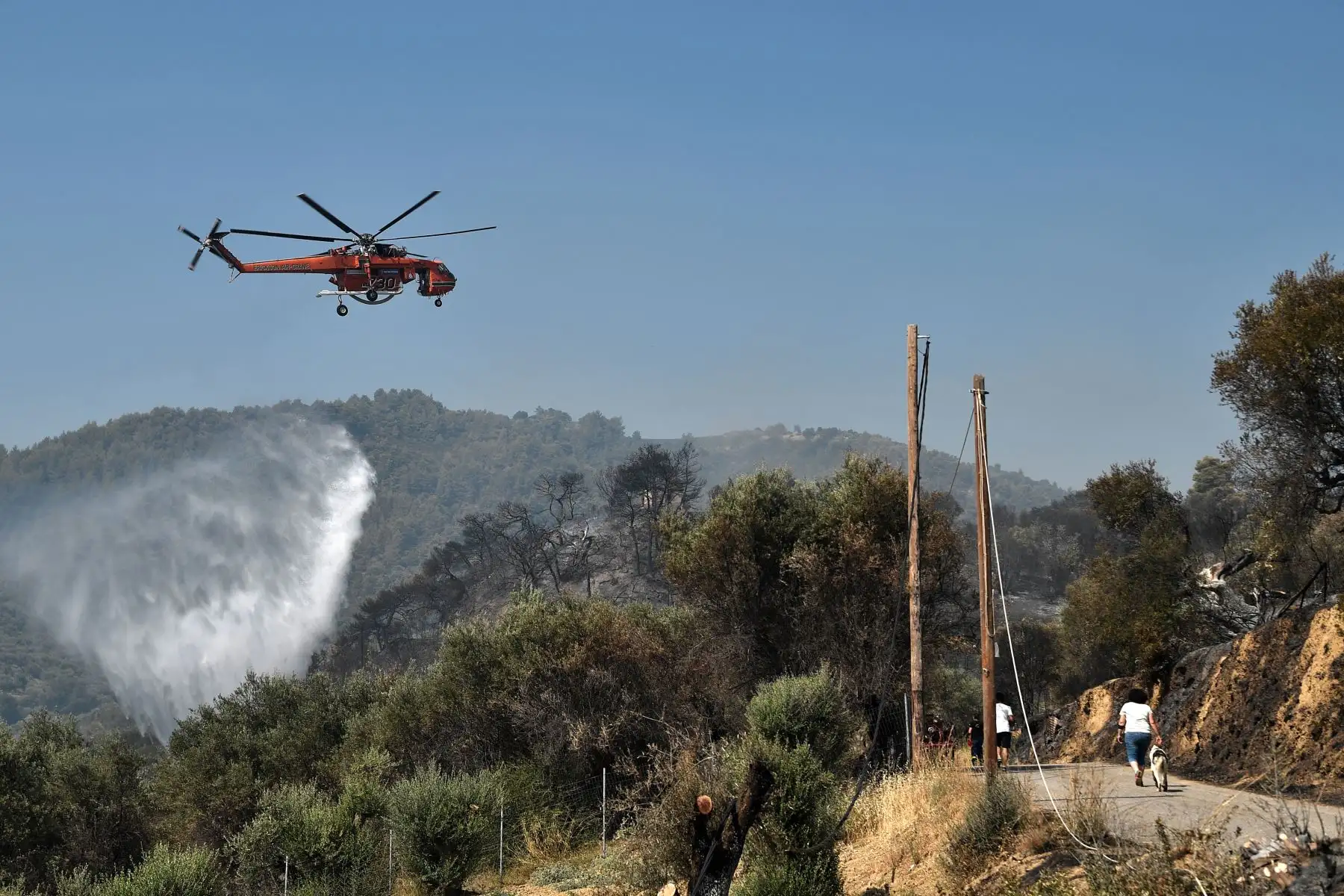 Un helicóptero Sikorsky S-64 Skycrane deja caer su carga de agua mientras lucha contra incendios en Ziria, cerca de Patras.
Foto: AFP