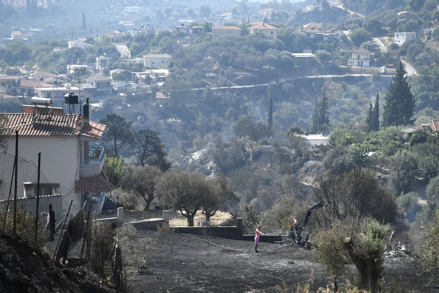 Un residente local limpia el trabajo en un jardín quemado en Ziria, al este de Patras. Las autoridades griegas lidiando con un gran incendio forestal.
Foto: AFP