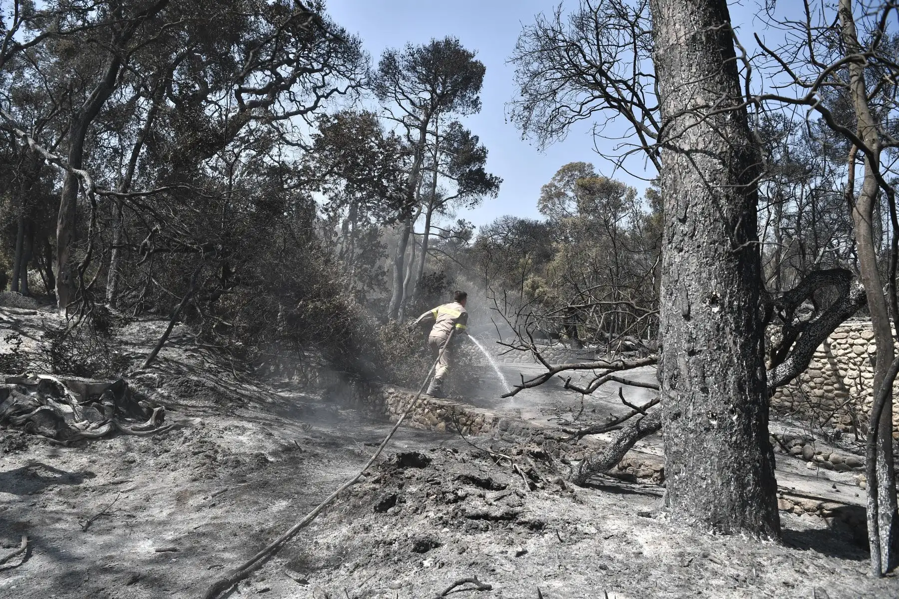 Un bombero limpia el trabajo en el área quemada de un Club Mediterranee abandonado en Lambiri, al este de Patras.
Foto: AFP