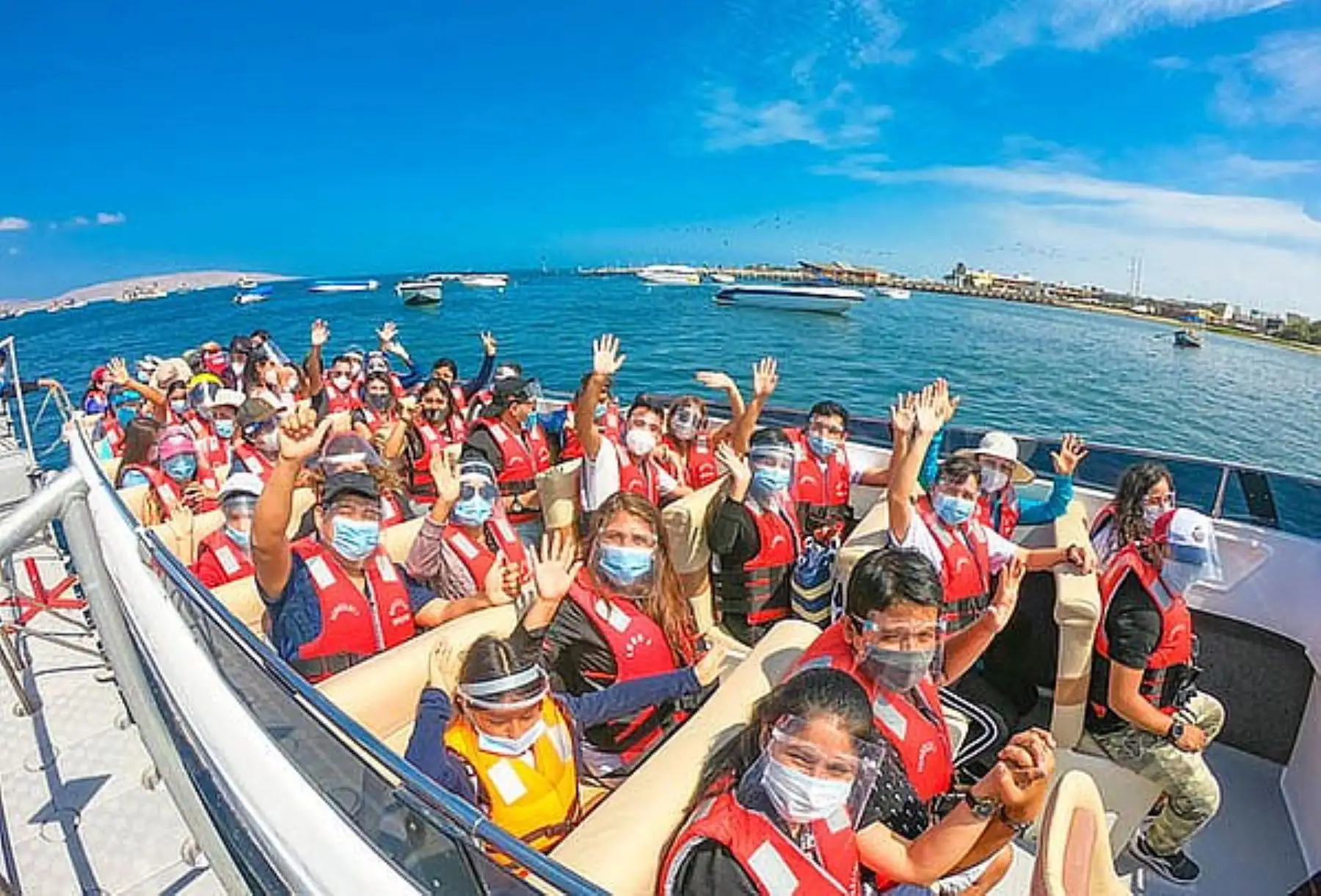 Paracas. Foto: Cortesía