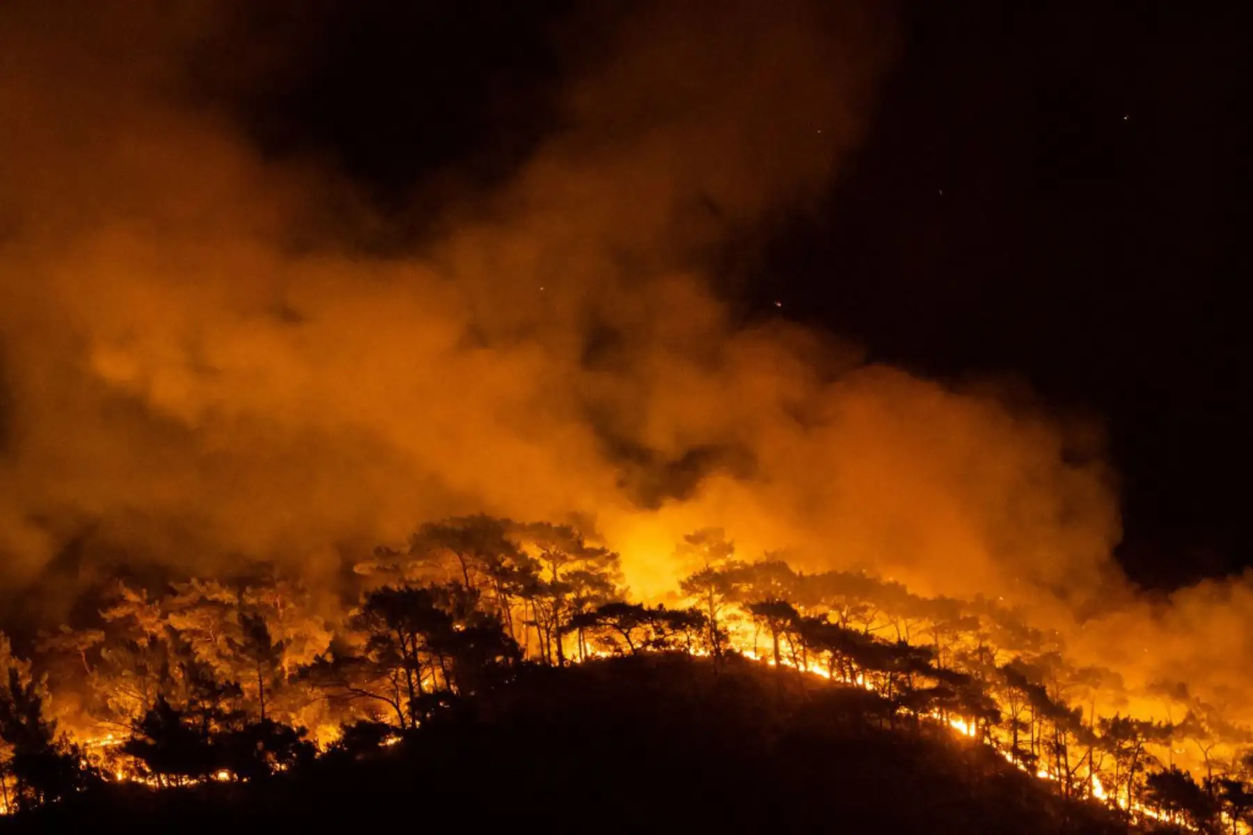 Esta fotografía muestra un bosque en llamas cuando un enorme incendio arrasó un centro turístico mediterráneo en el distrito de Mugla, en Marmaris, Turquía.

Foto: AFP