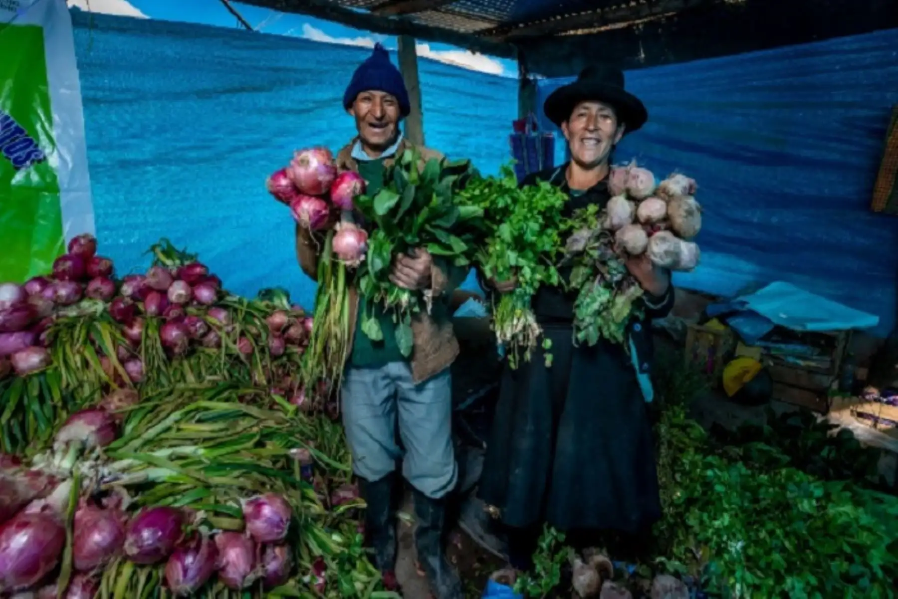 A fin de contribuir con la reactivación económica de productores de la agricultura familiar y el abastecimiento de alimentos aprecios justos, sin intermediarios, se han realizado en todo el país 1,826 Mercados Midagri De la Chacra a la Olla, con la participación de 44, 974 productores. ANDINA/Difusión