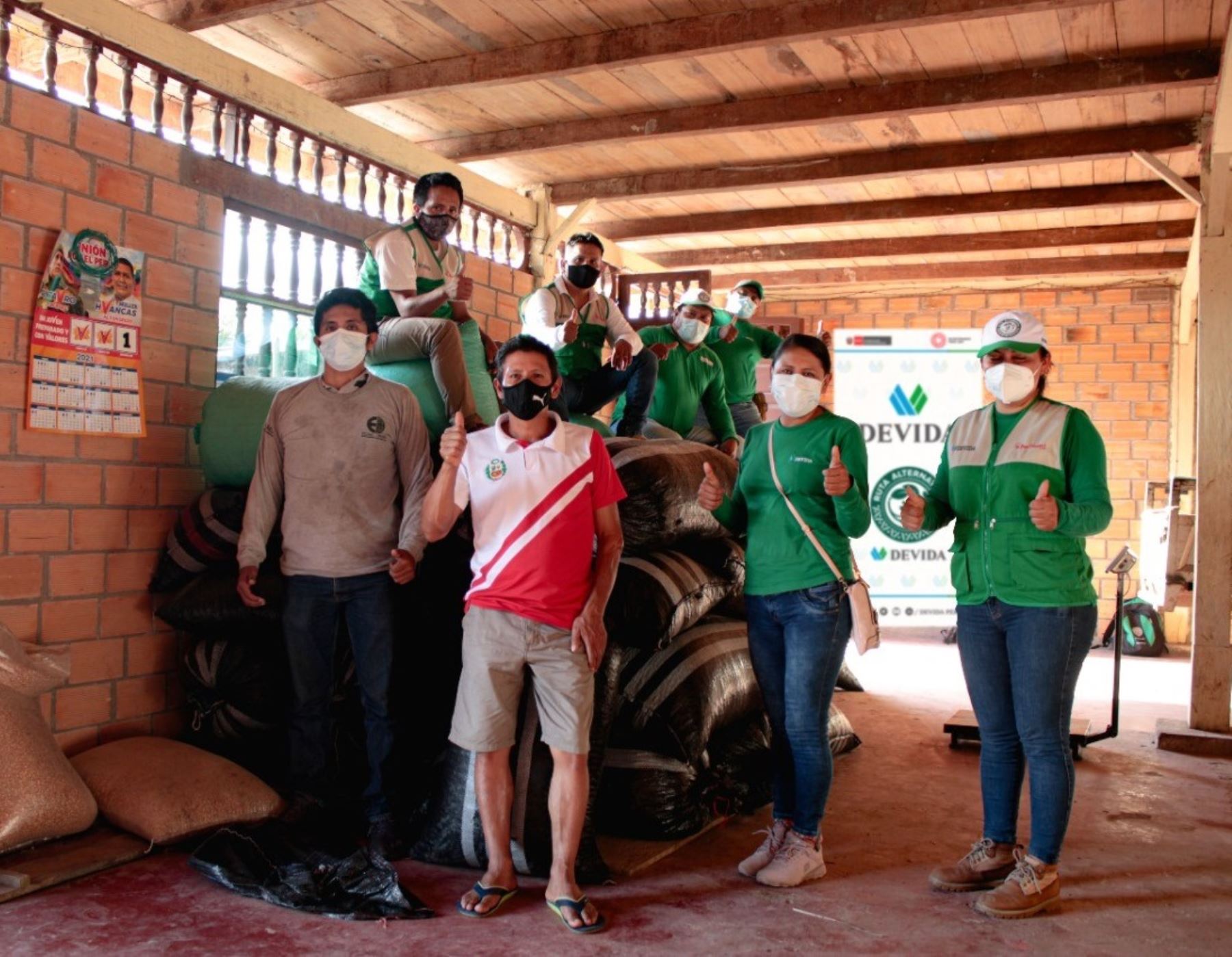 Productores de cacao de los distritos de Pólvora y Campanilla, región San Martín, obtuvieron ingresos por más de S/ 500,000 gracias a la venta de cotizado cultivo. ANDINA/Difusión