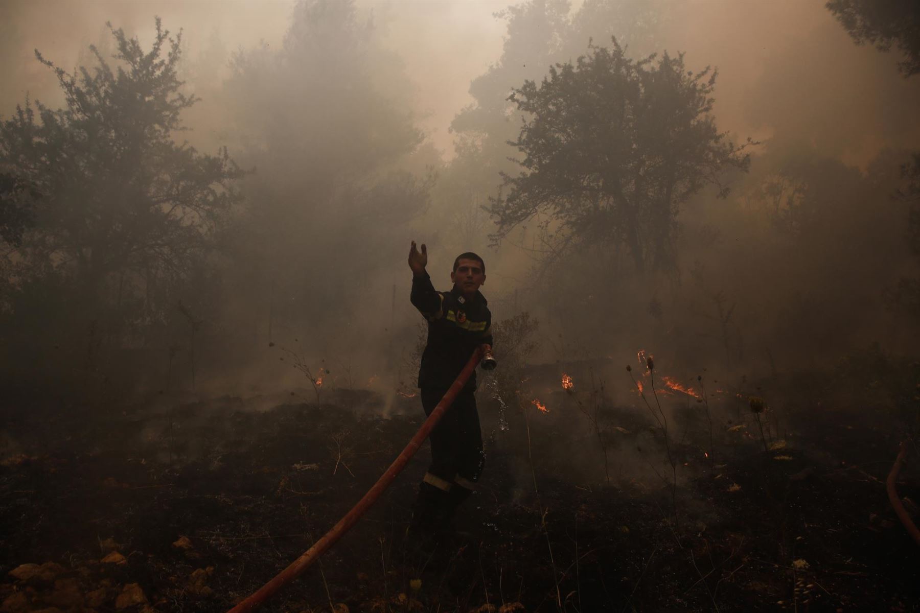 Incendio forestal en Grecia.