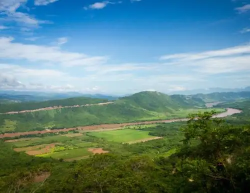 Serfor aprueba la estrategia de restauración de ecosistemas y tierras forestales degradadas.
