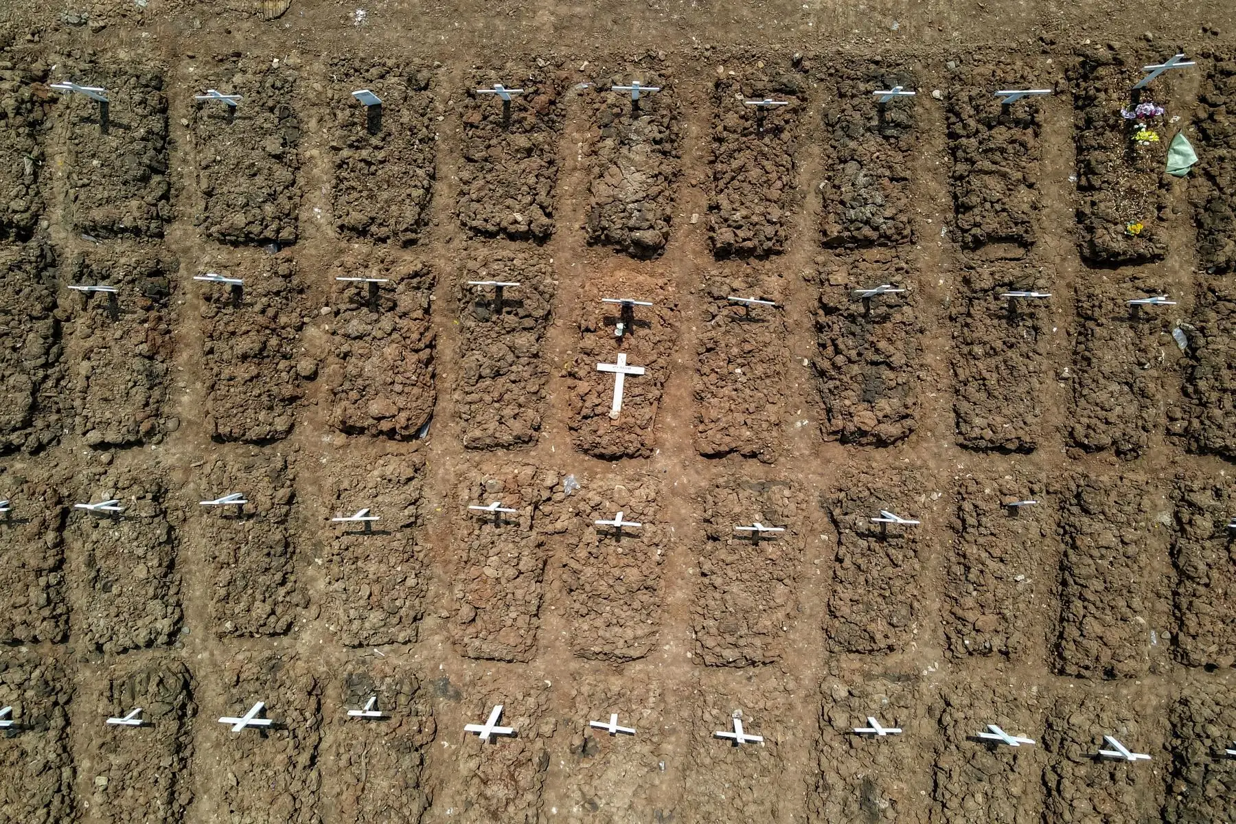 Muestra las tumbas de las víctimas del coronavirus en el cementerio de Rorotan, en Yakarta.
Foto: AFP