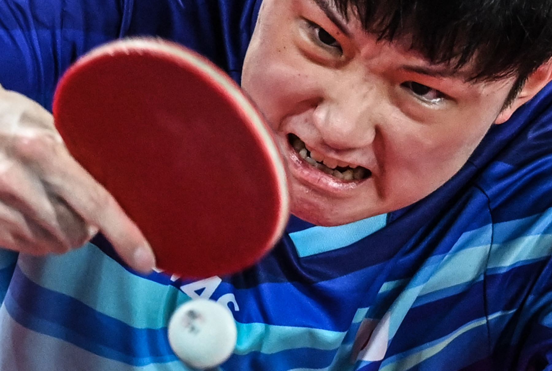 Tomokazu Harimoto de Japón compite contra Jang Woo-jin de Corea del Sur durante el partido de tenis de mesa del equipo masculino por la medalla de bronce entre Corea del Sur y Japón en el Gimnasio Metropolitano de Tokio durante los Juegos Olímpicos de Tokio 2020 en Tokio el 6 de agosto de 2021. Foto: AFP
