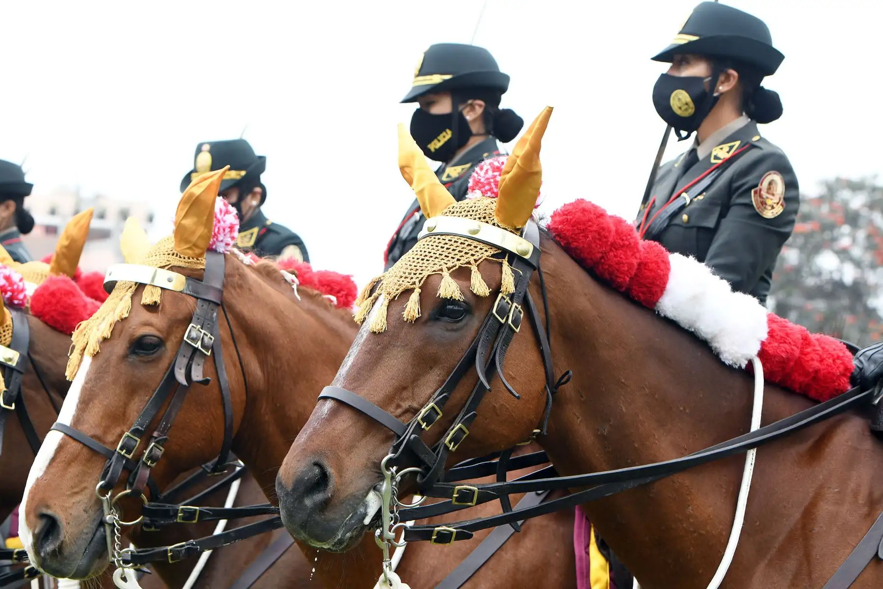 Ministro del Interior, Juan Carrasco Millones, participa en la ceremonia por el 197.° aniversario de la gloriosa Batalla de Junín y el Día de la Caballería Peruana, desarrollada en la sede de la Unidad Histórica de la Policía Montada - El Potao.
Foto: Mininter