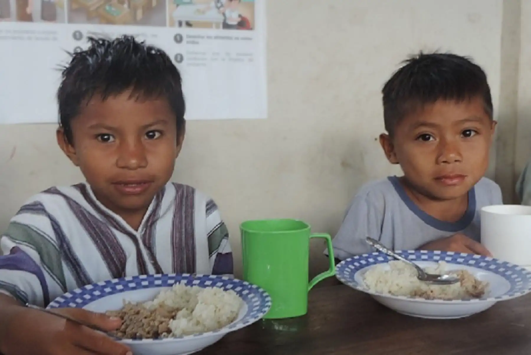 Un total de 287,518 niñas, niños y adolescentes de 6,178 instituciones educativas públicas, ubicadas en comunidades indígenas en el ámbito nacional, reciben el servicio alimentario escolar del Programa Nacional de Alimentación Escolar Qali Warma del Ministerio de Desarrollo e Inclusión Social. Foto: Qali Warma/Midis