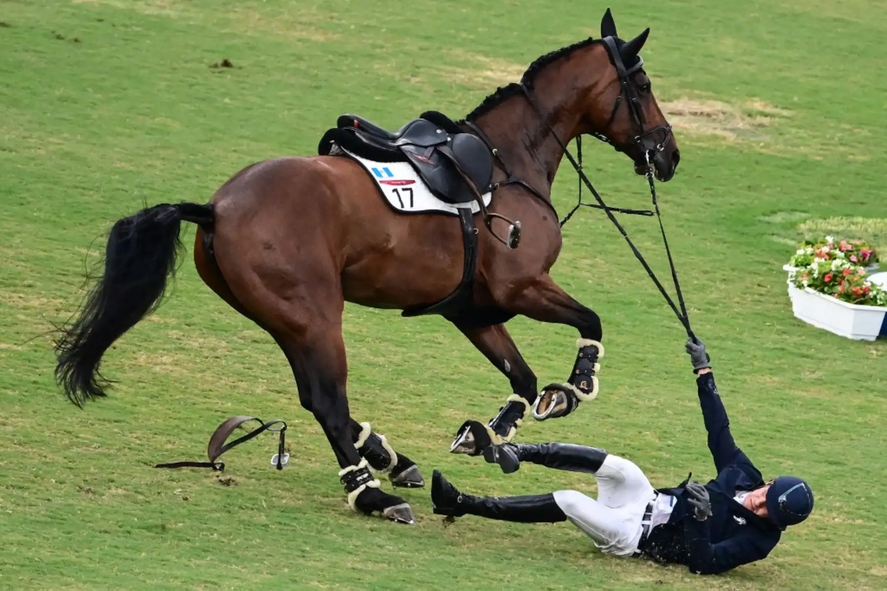 Charles Fernández de Guatemala se cae de Fluoriet mientras compite en el salto individual masculino del pentatlón moderno durante los Juegos Olímpicos de Tokio 2020. Foto: AFP