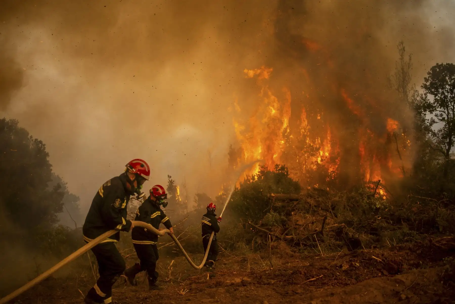 Los bomberos serbios utilizan una manguera de agua para extinguir las llamas de un incendio forestal en la aldea de Glatsona en la isla de Evia, Grecia. Foto: AFP