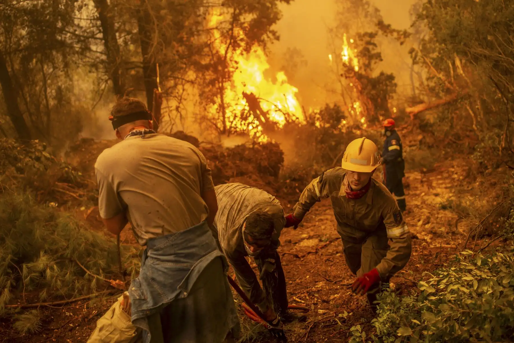 Bomberos y voluntarios utilizan una manguera de agua cerca de un incendio en llamas tratando de extinguir un incendio en el pueblo de Glatsona en la isla de Evia, Grecia. Foto: AFP